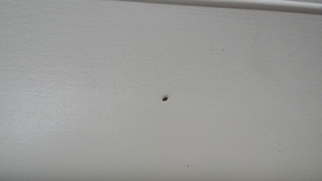 20140904_174247.jpg