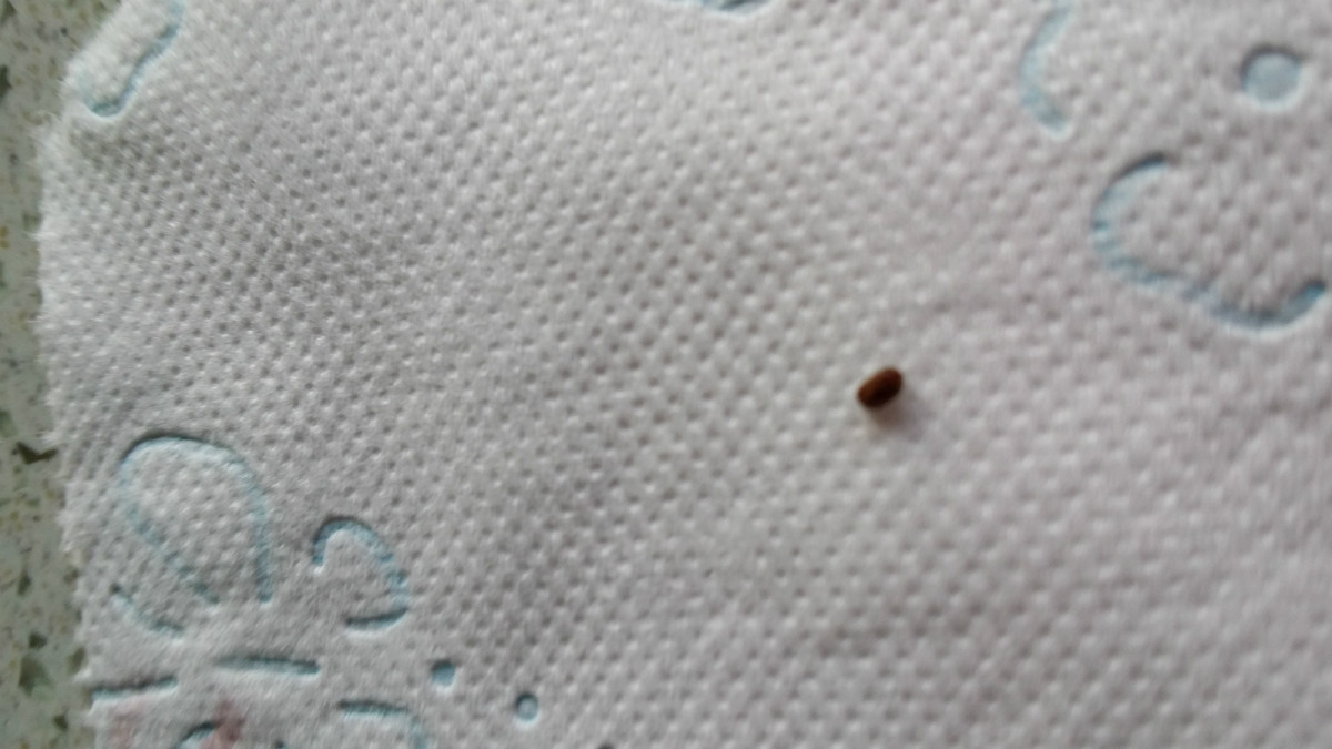 20140828_140134.jpg