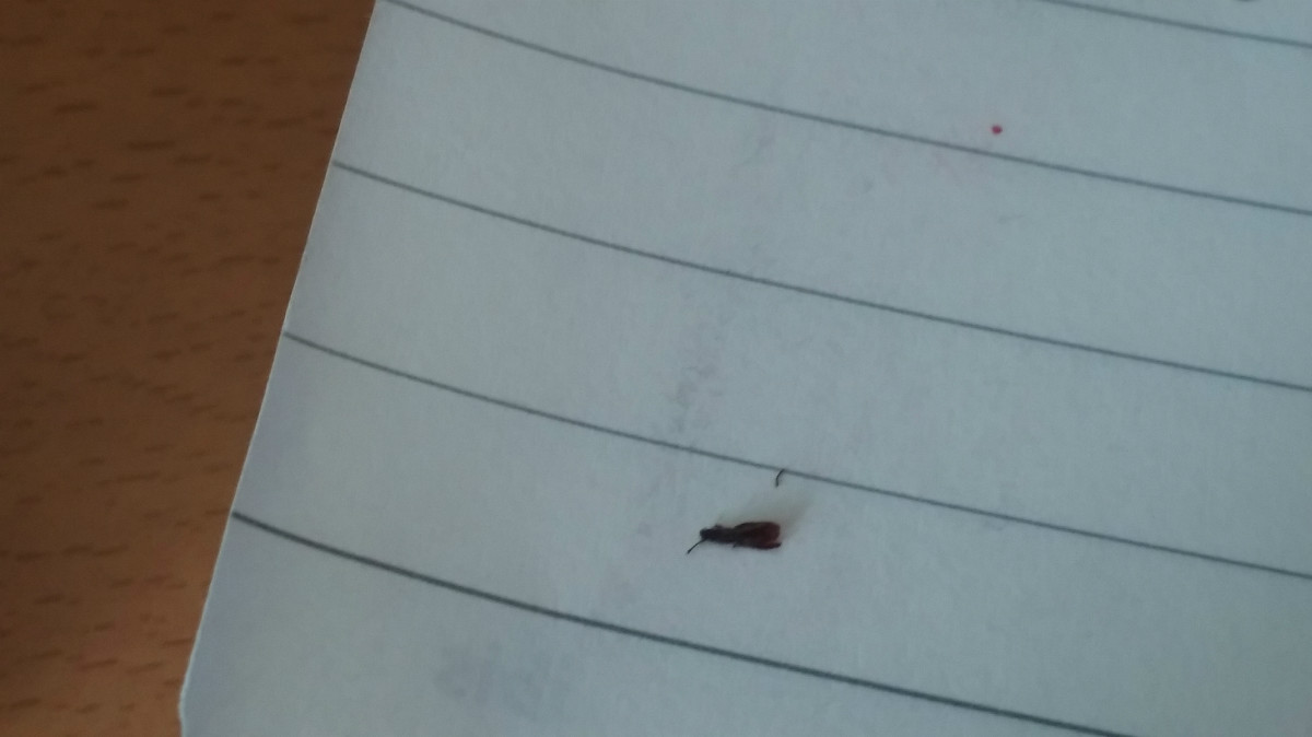 사본 -20140922_105117.jpg