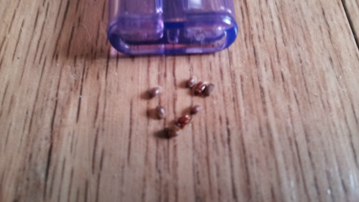 20140930_122755.jpg