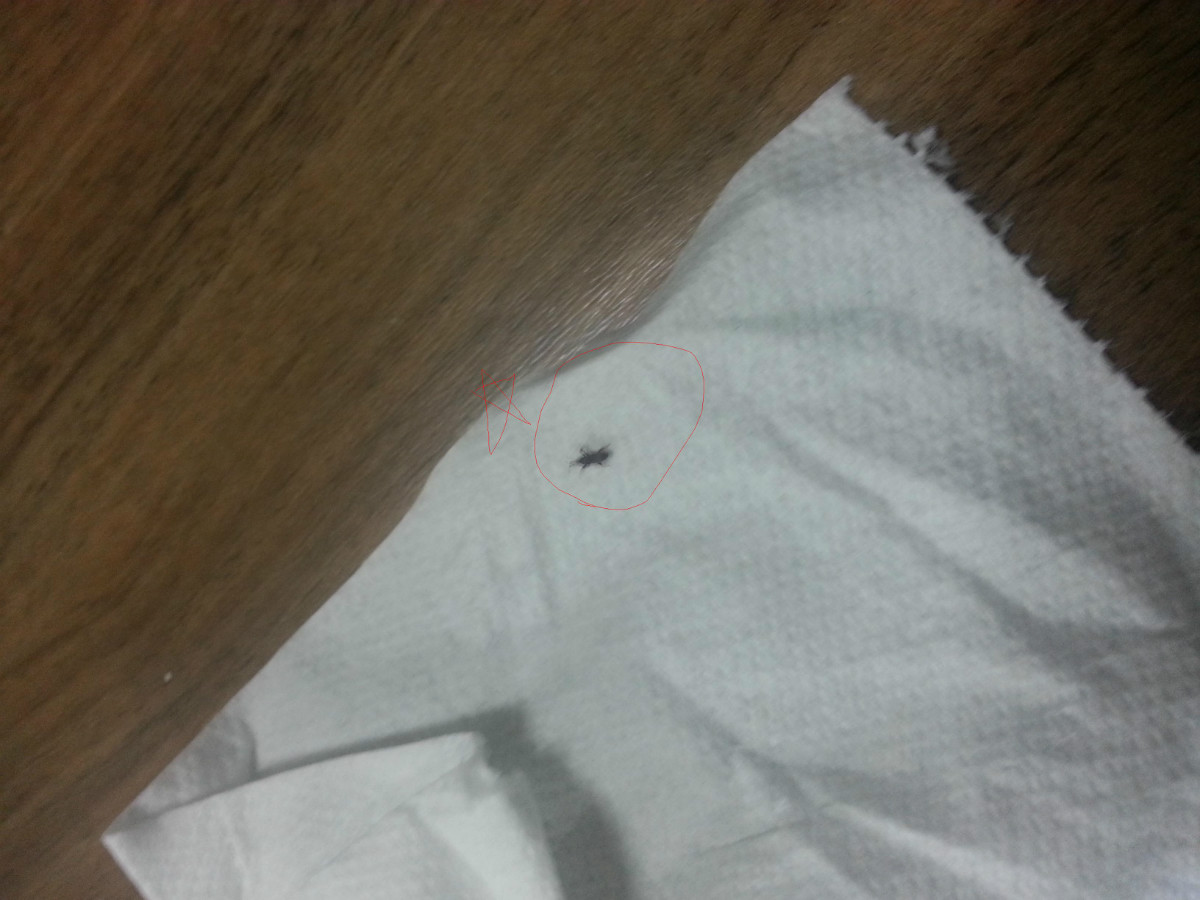 20141021_180454 22.JPG