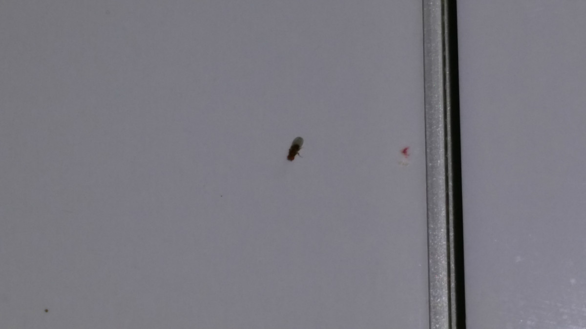 20141114_090722.jpg