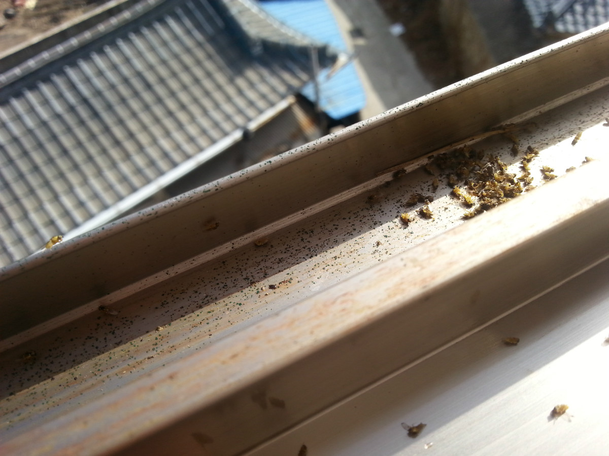 20150224_105213.jpg