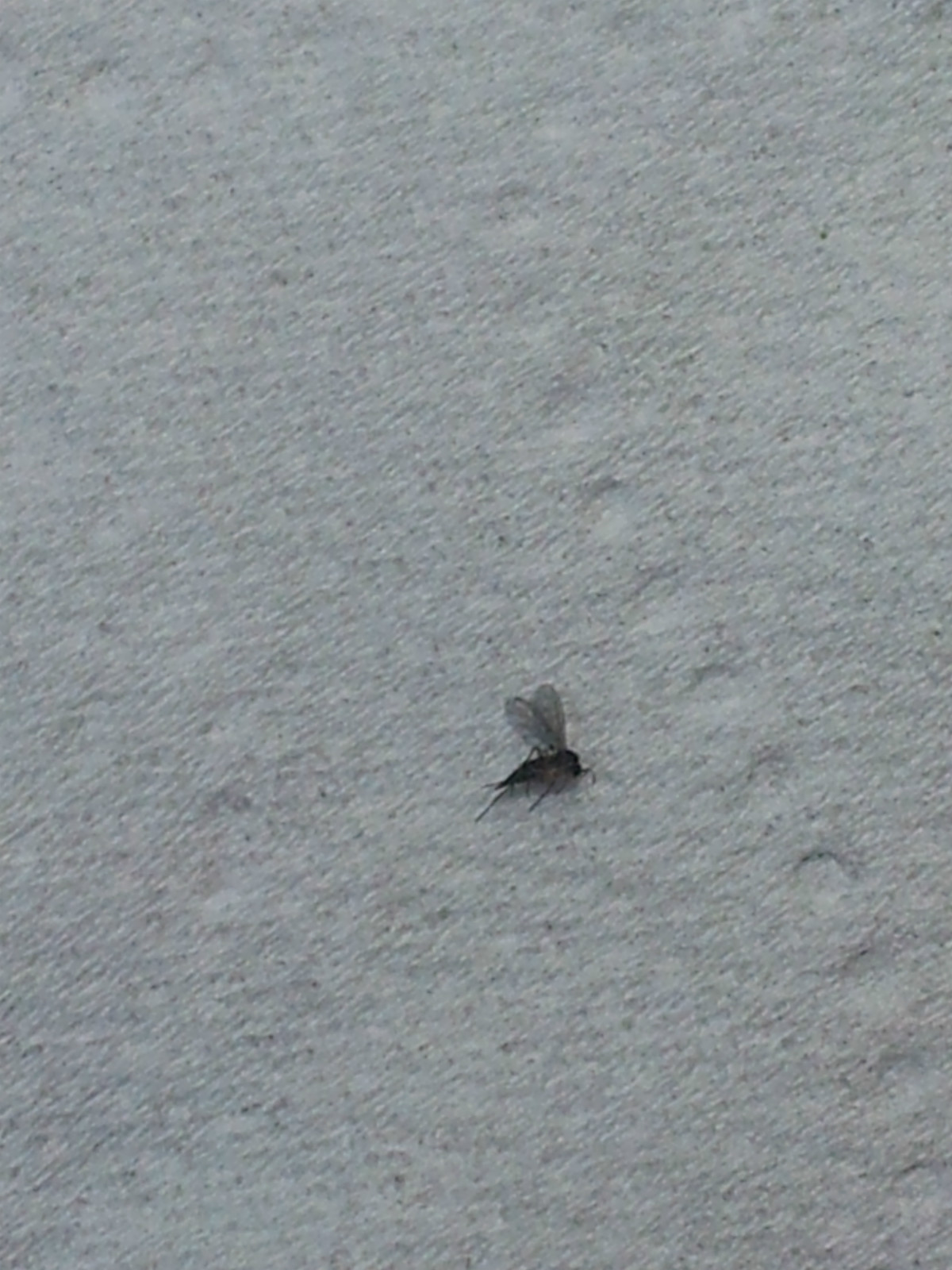 20150309_234116.jpg