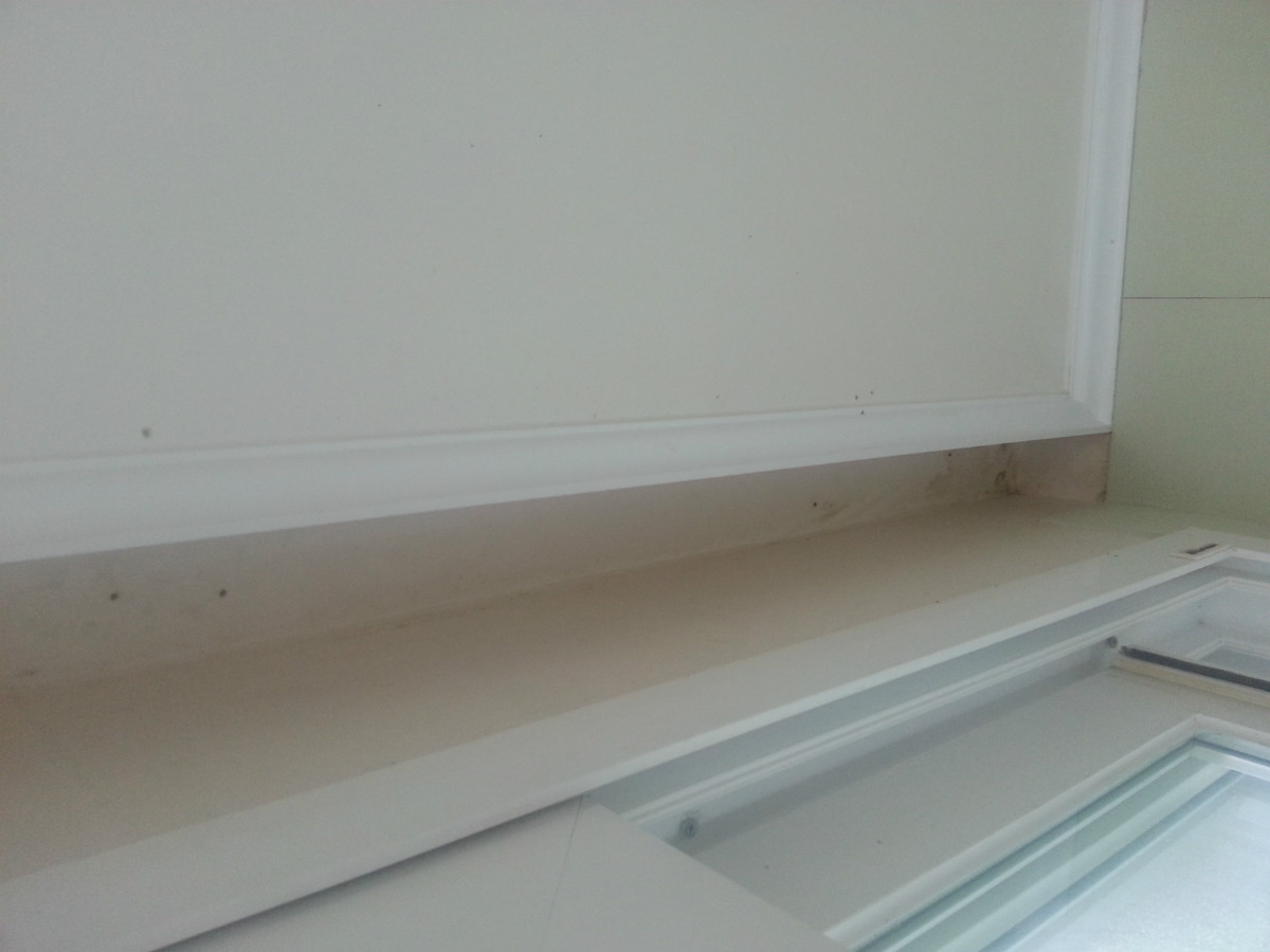 20150526_062352.jpg