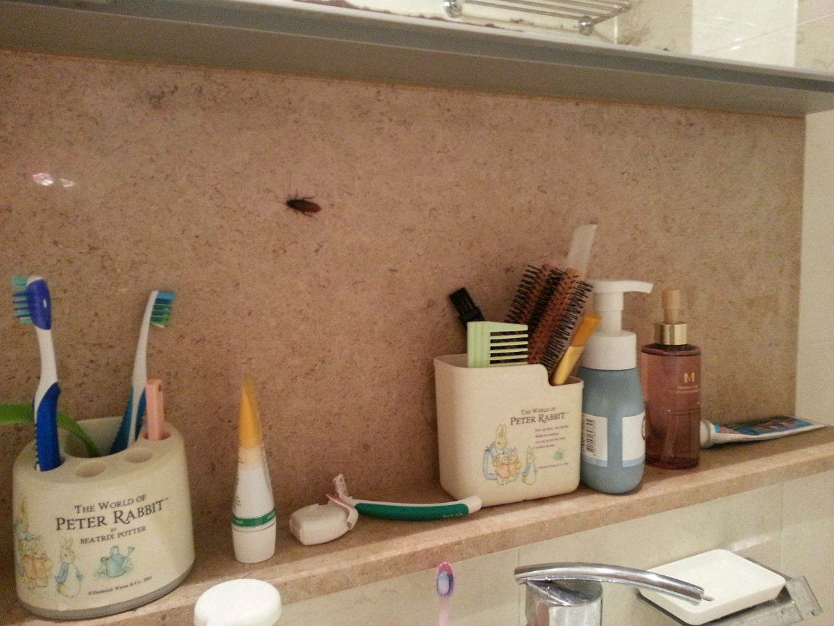 사본 -20150611_215824.jpg