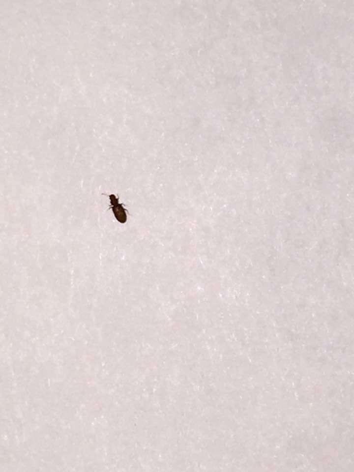 큐엠3 손잡이 교체 사진 002.jpg