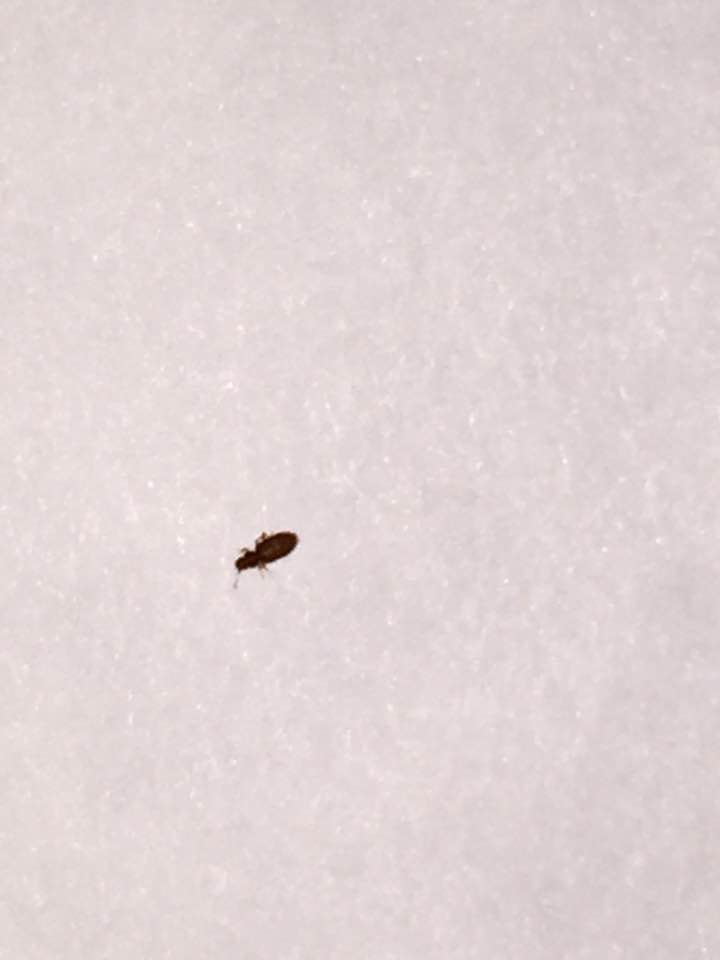 큐엠3 손잡이 교체 사진 003.jpg