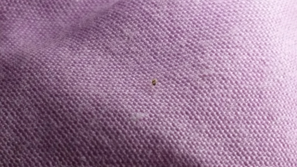 20150615_214145.jpg