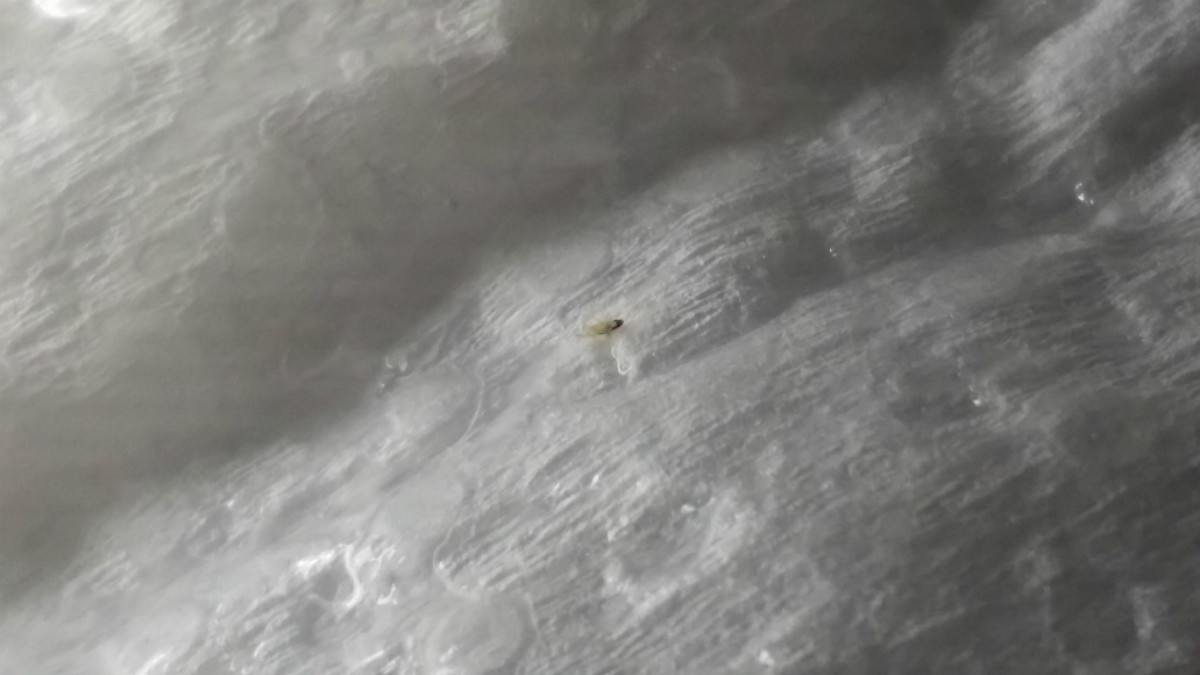 20150615_214408.jpg