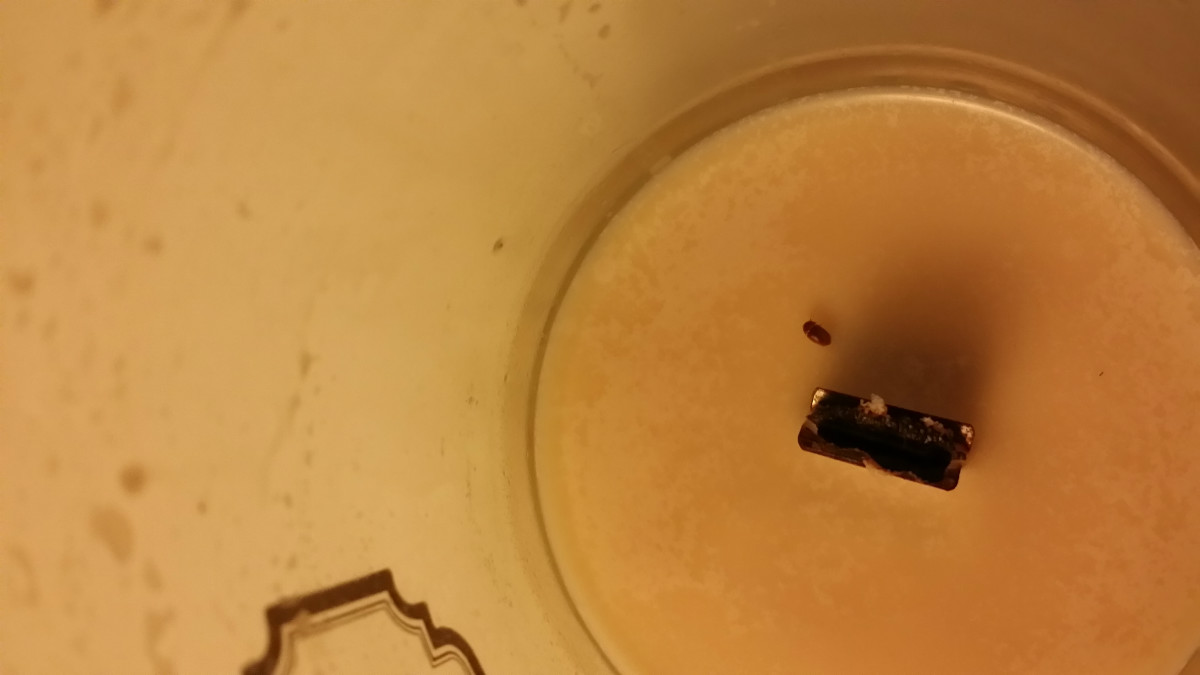 20150730_204705.jpg