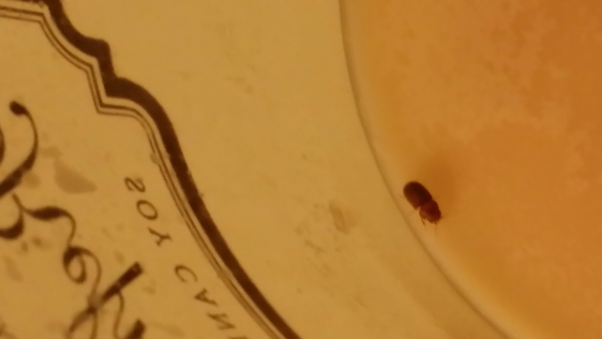 20150730_204742.jpg