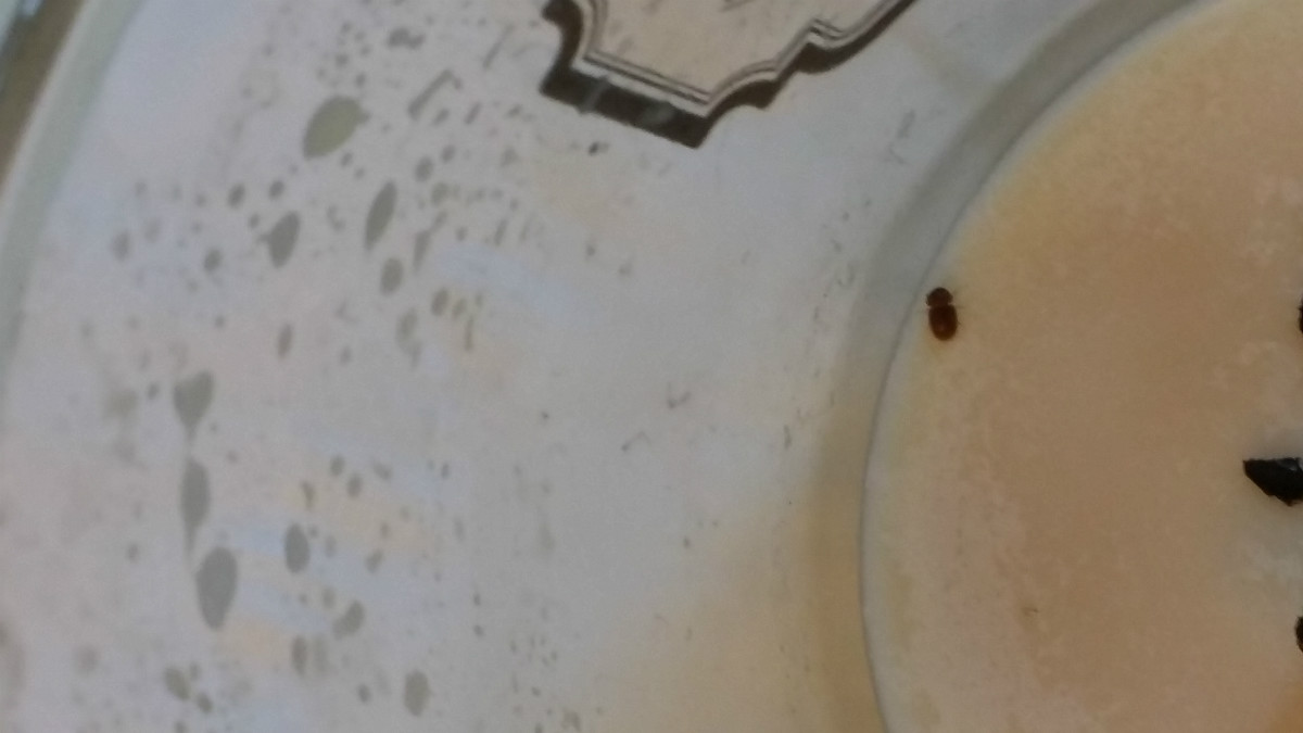 20150730_205337.jpg