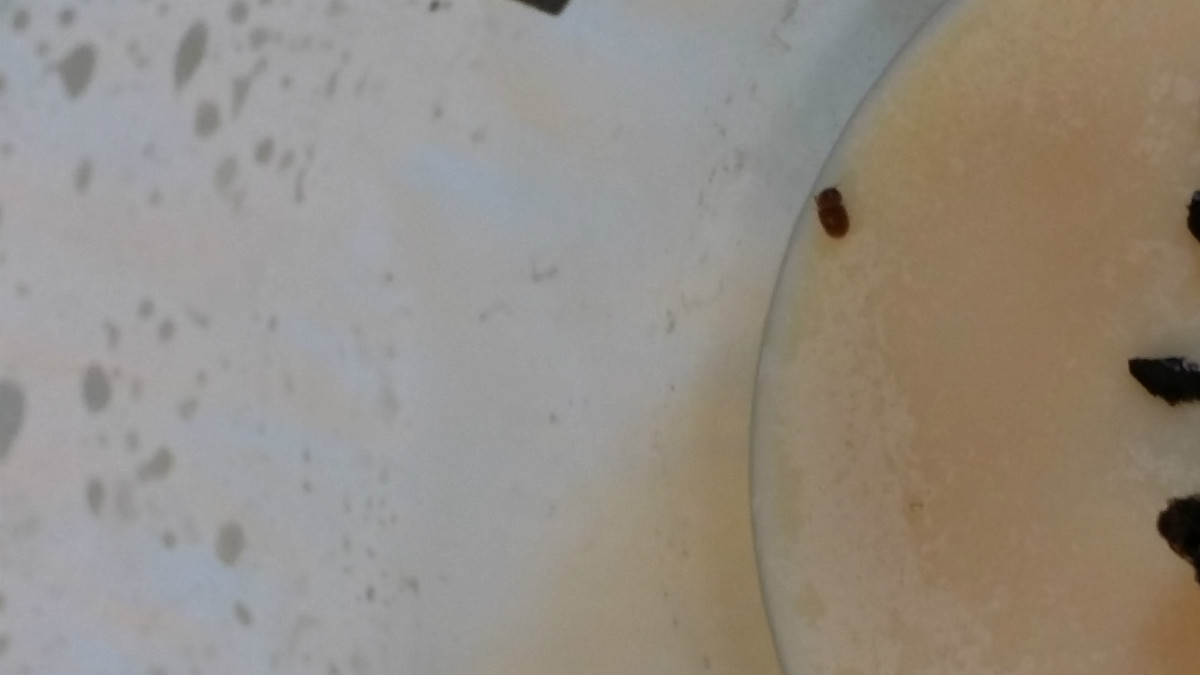 20150730_205401.jpg