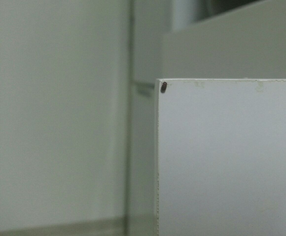 P150824_223759_edit_1.jpeg