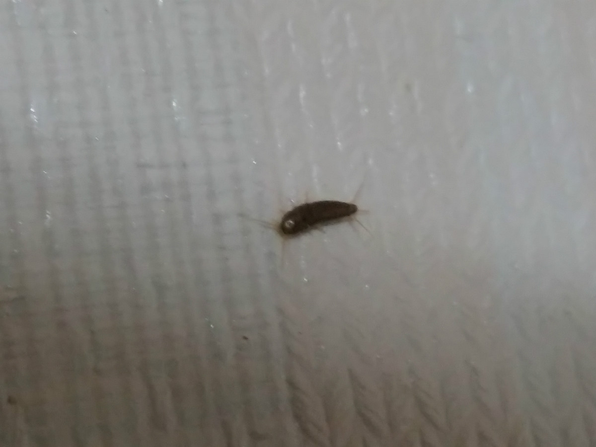 20150806_014838.jpg