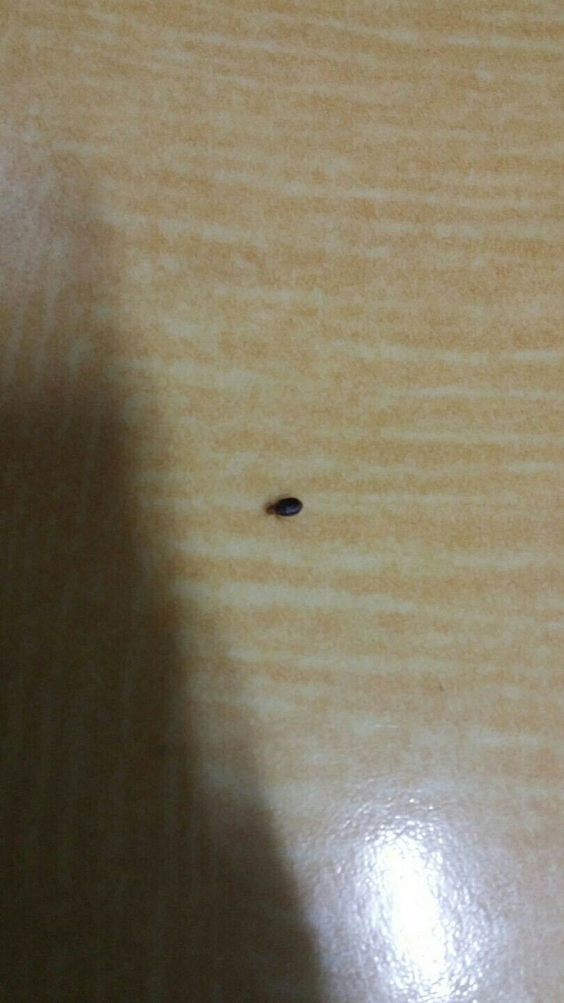 KakaoTalk_태양의예언_2015년 9월 7일.jpeg