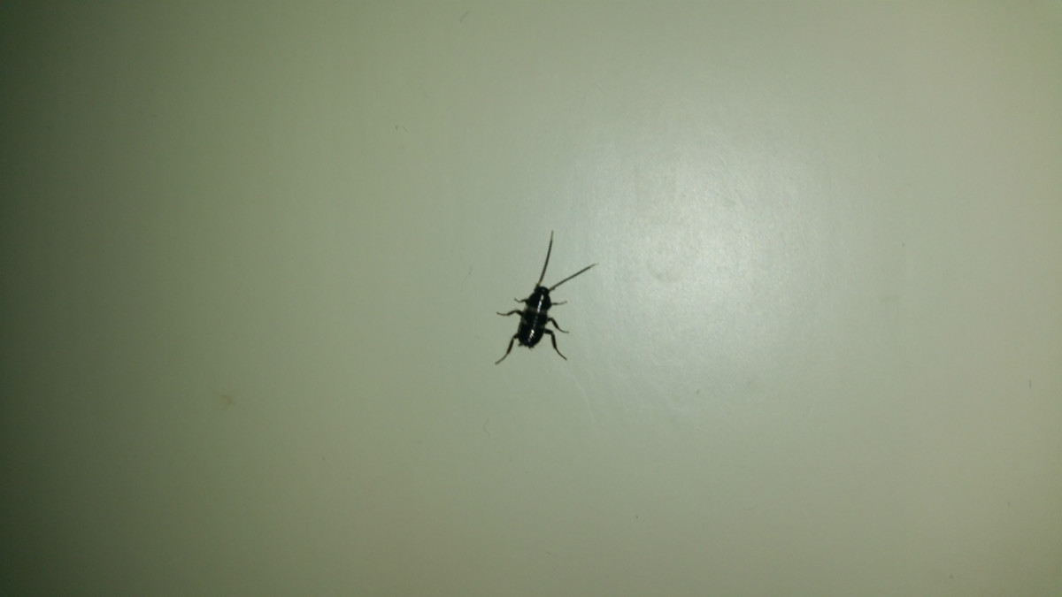 20160311_201117.jpg