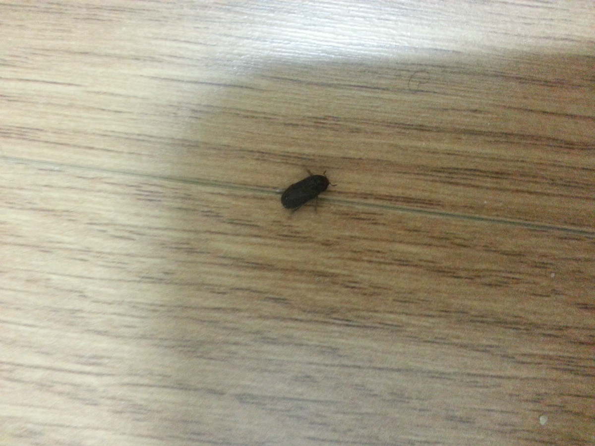 20160321_194819.jpg