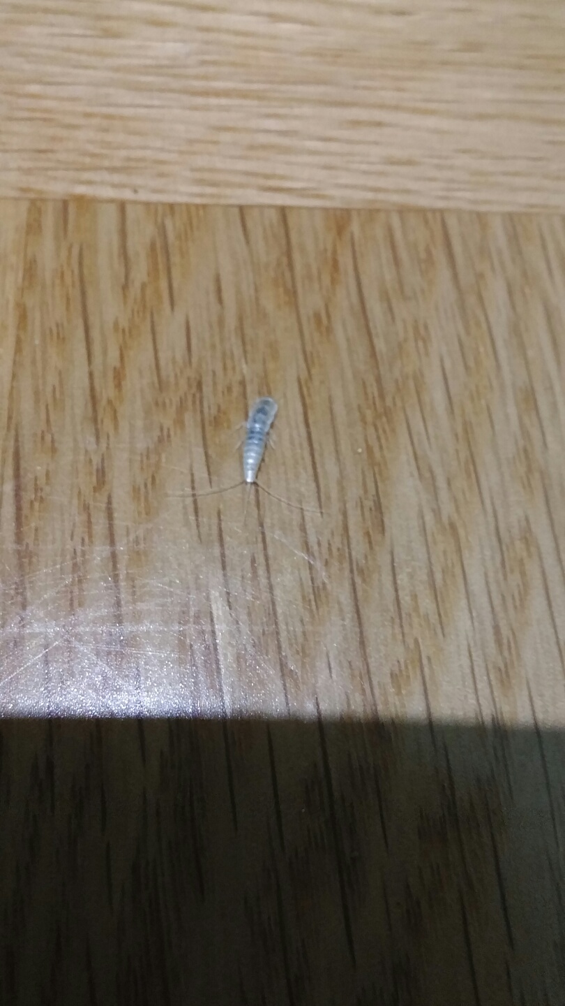 1460350734856.jpg