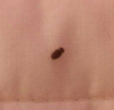 사본 -KakaoTalk_20160414_102057710.jpg