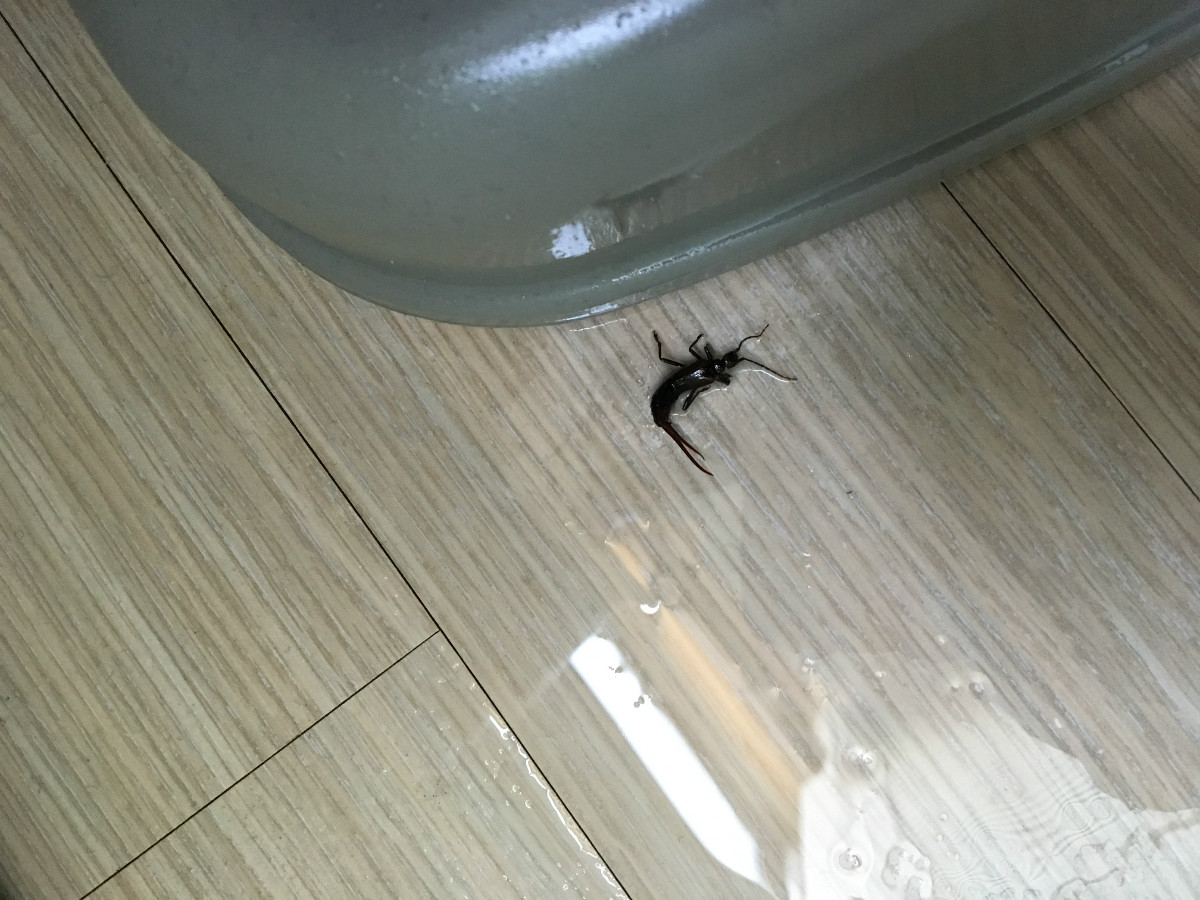 KakaoTalk_20160418_123938205.jpg