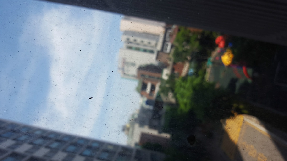 20160521_135008.jpg