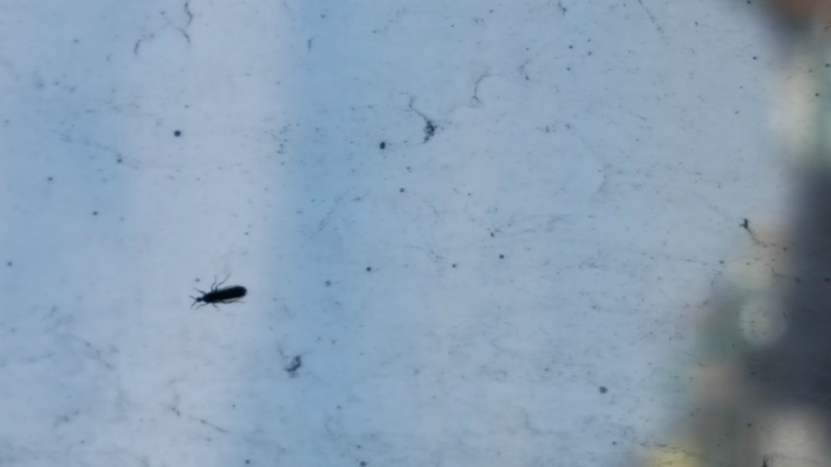 20160521_135131.jpg