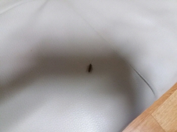 크기변환_크기변환_사본 -사진1.jpg