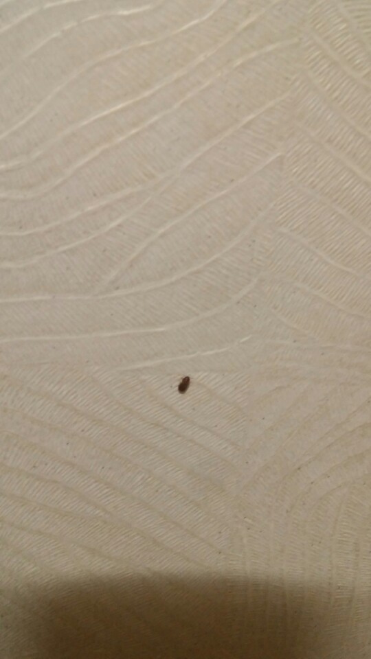 KakaoTalk_20160622_210348467.jpg