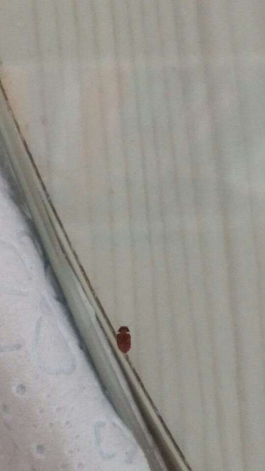 KakaoTalk_20160622_210348872.jpg