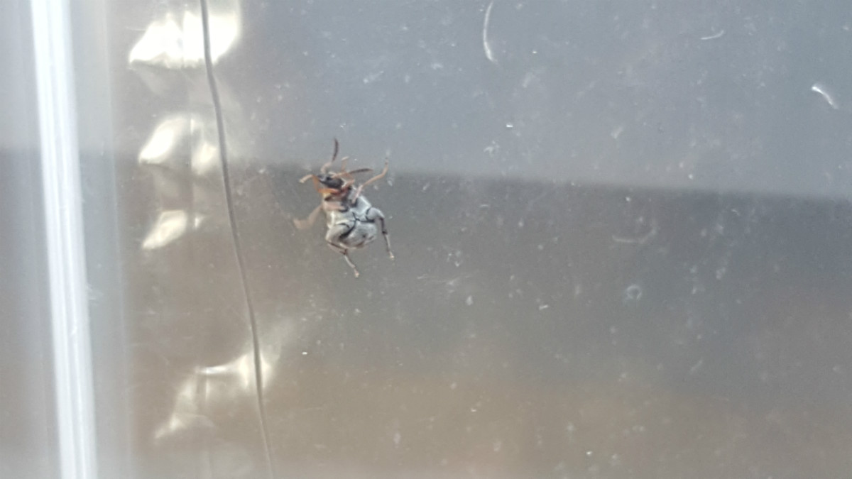 20160707_170217.jpg