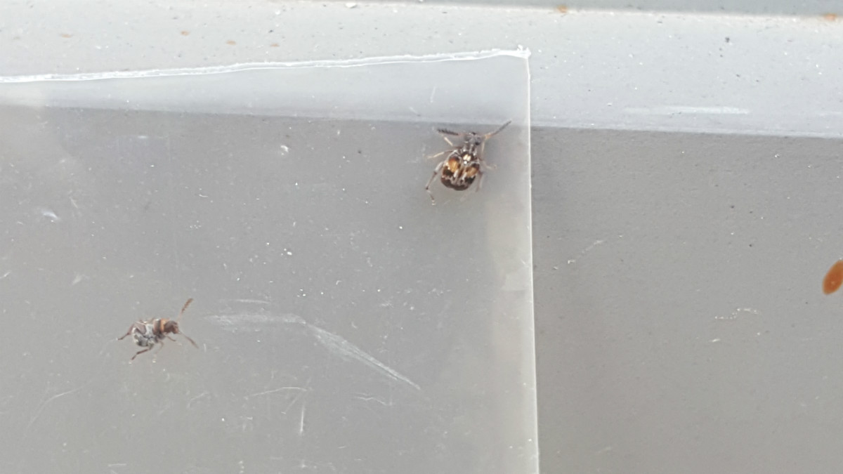 20160707_170233.jpg