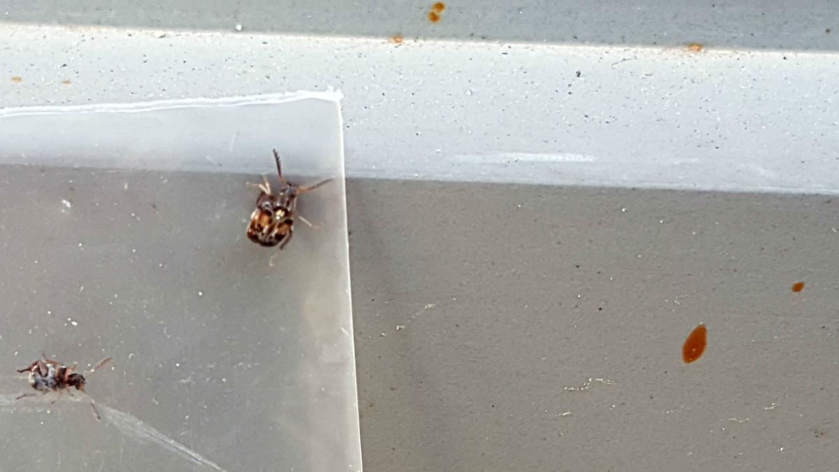 20160707_170235.jpg