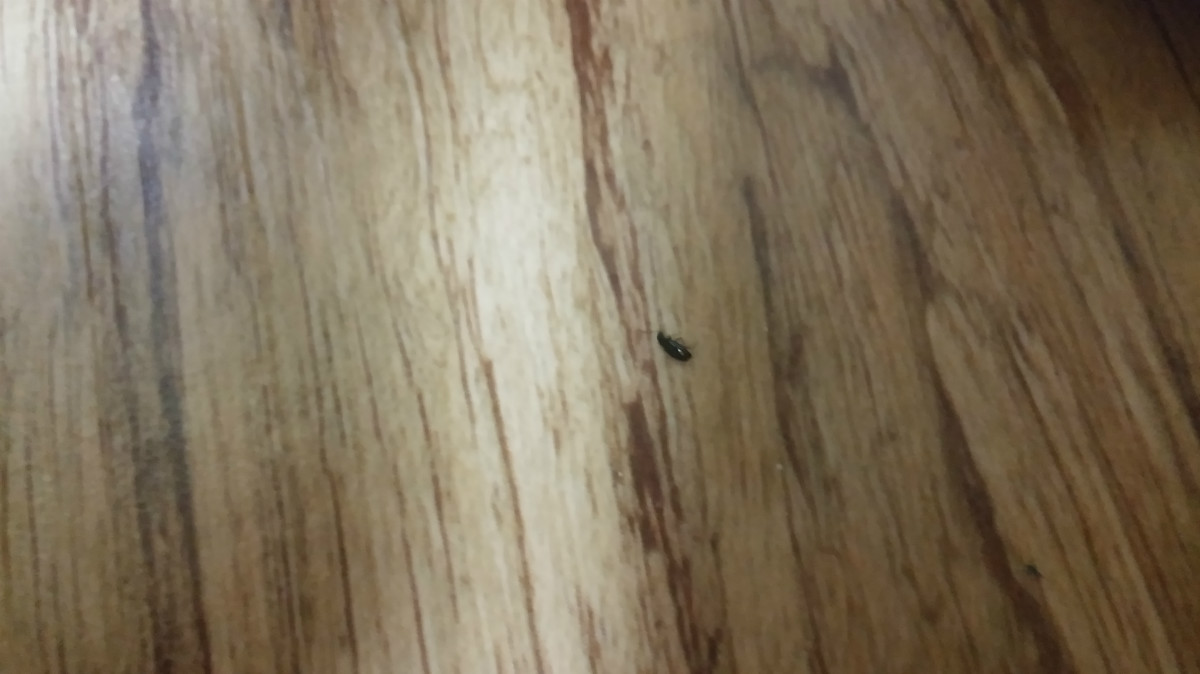 20160809_015040.jpg