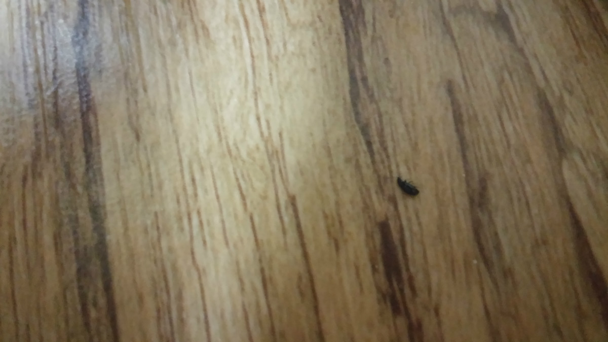 20160809_015100.jpg