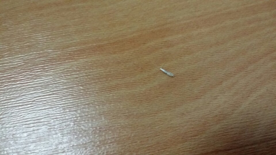 KakaoTalk_20170302_082746480.jpg