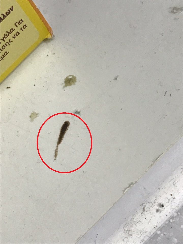 제발아니길. (1).jpg