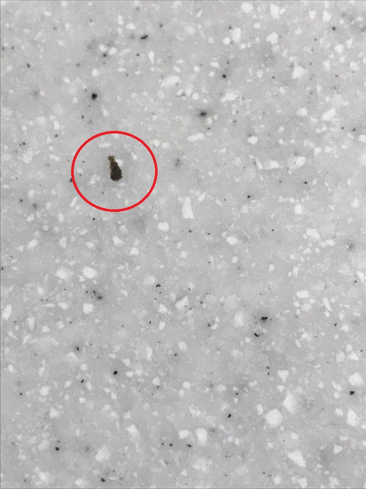 제발아니길. (2).jpg