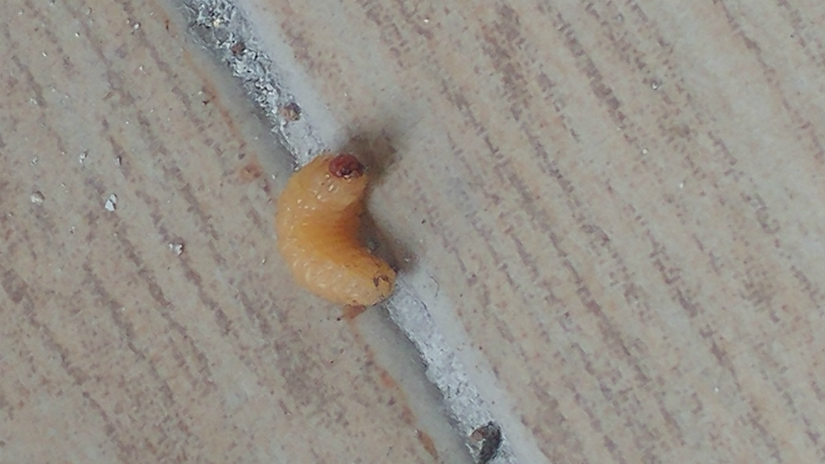 20171006_152311.jpg