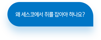 말풍선1