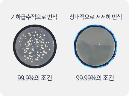 워터존 케어 서비스