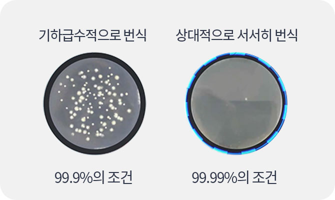 워터존 케어 서비스