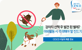 반려견 산책 후 발견된 벌레 또는 야외활동 시 주의해야 할 진드기에 대한 세스코(CESCO)의 블로그 아티클 섬네일입니다.