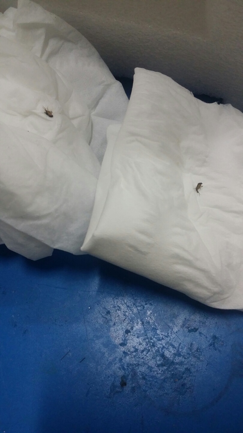 KakaoTalk_20150611_013556197.jpg