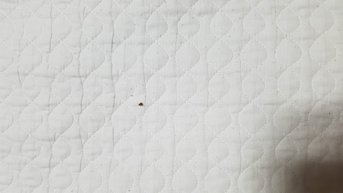 20180721_201318.jpg