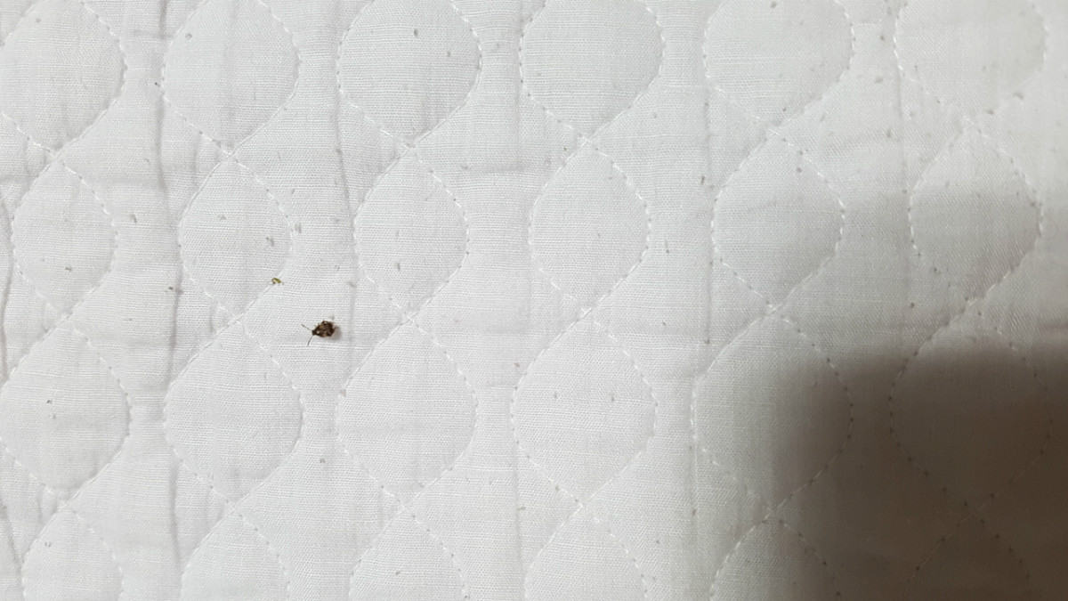 20180721_201321.jpg