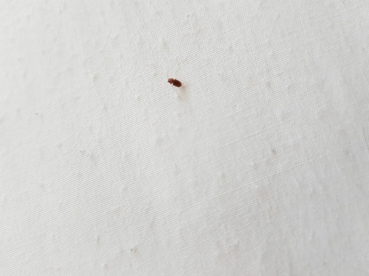 KakaoTalk_20190709_204951172.jpg