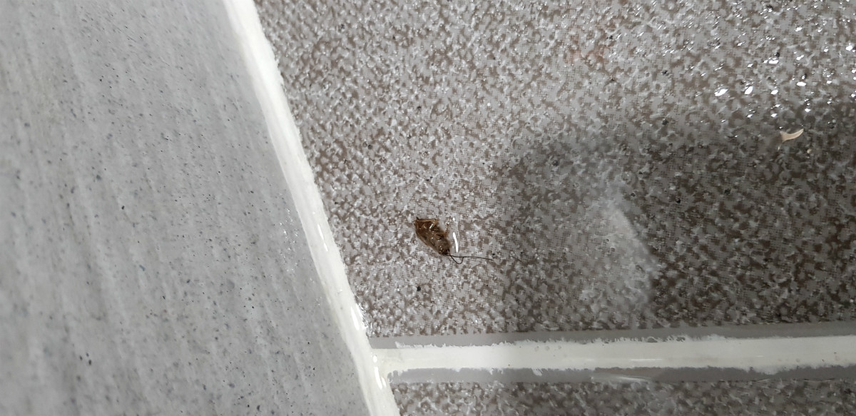 KakaoTalk_20190822_232730385_02.jpg