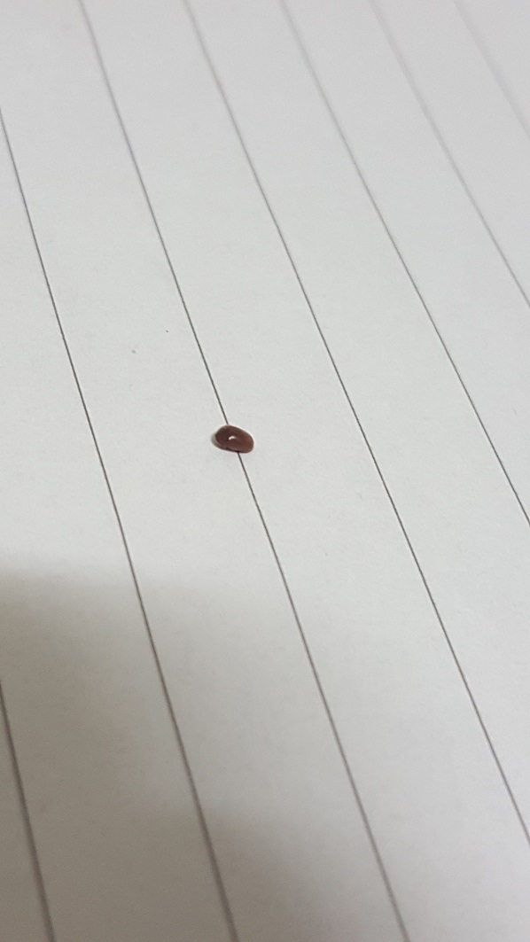 20190903_215446.jpg